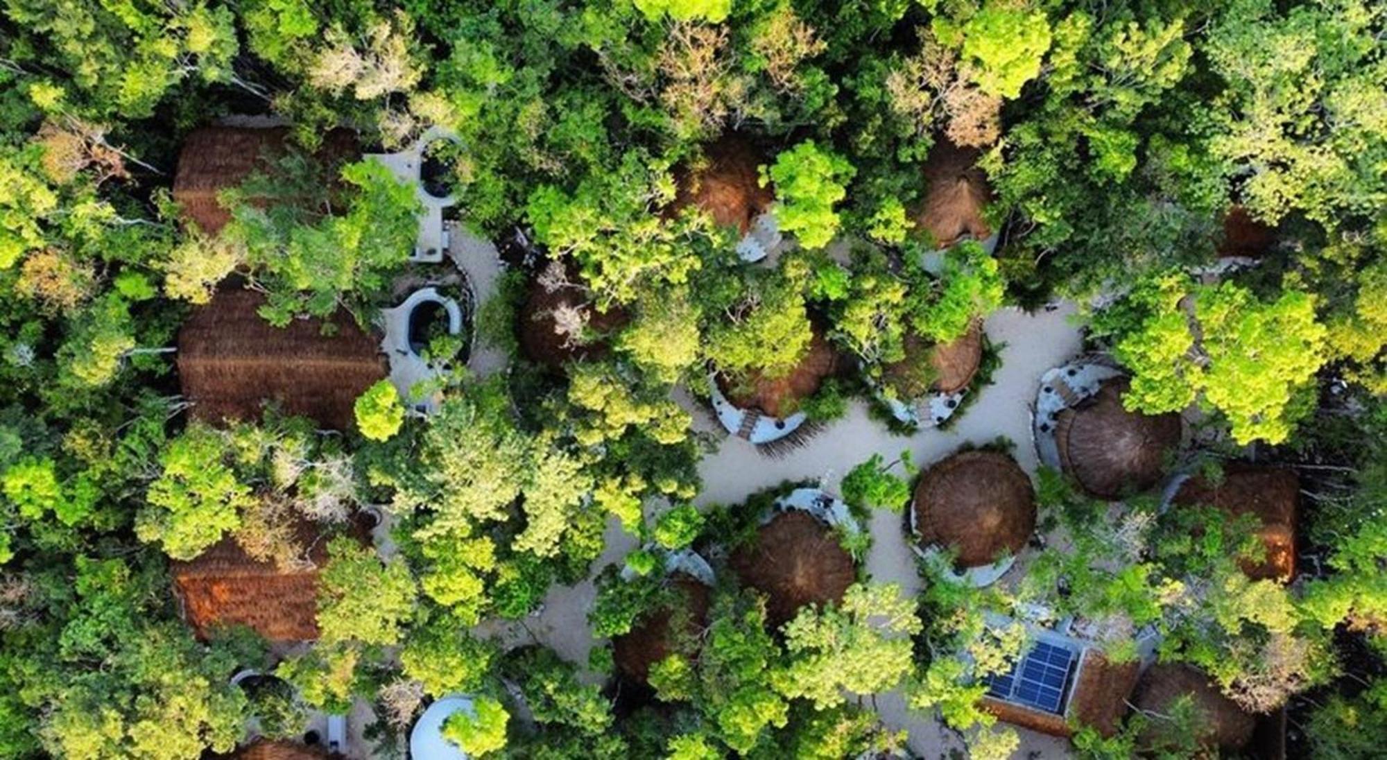 The Yellow Nest Тулум Экстерьер фото